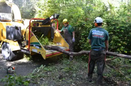 tree services Cowden